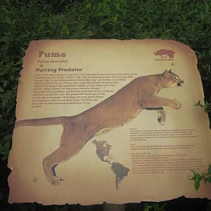 Sep. 2012-Cougar sign