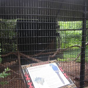 Sep. 2012-Hyacinth Macaw exhibit