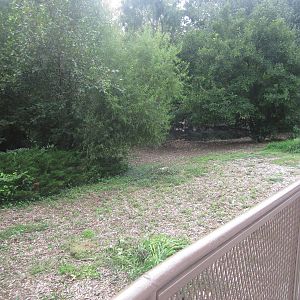 Sep. 2012-Chilean Flamingo/Crested Screamer exhibit