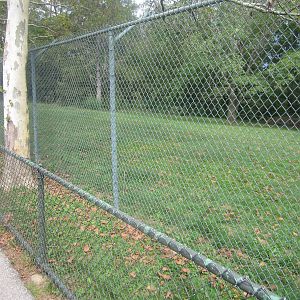 Sep. 2012-Maned Wolf exhibit