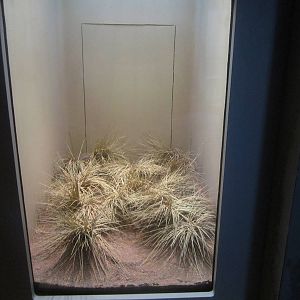 Sep. 2012-Woma exhibit