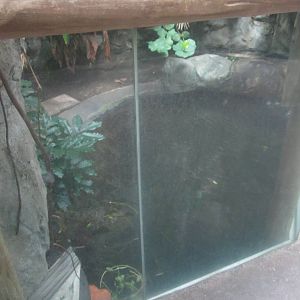 Sep. 2012-King Louie's exhibit-Second Half