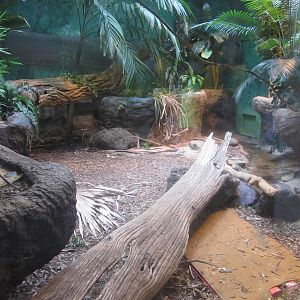 Sep. 2012-Boa Constrictor exhibit
