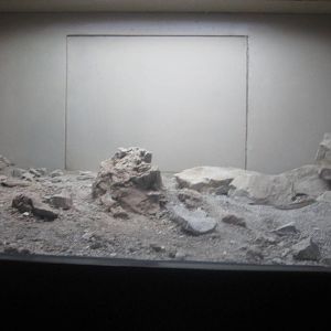 Sep. 2012-Rough-scaled Sand Boa exhibit