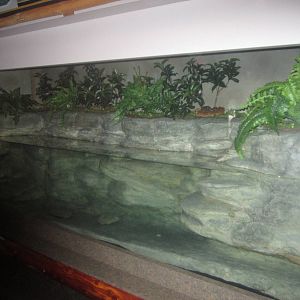 Sep. 2012-Kentucky's River exhibit