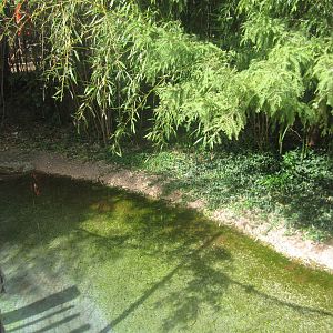 Sep. 2012-Oriental White Stork exhibit