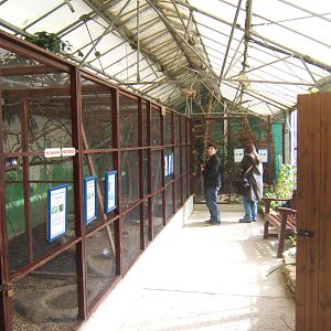 View inside the Toucan House