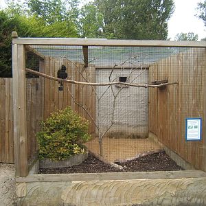 View of Taritic Hornbill Aviary