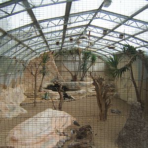 View inside the Desert House