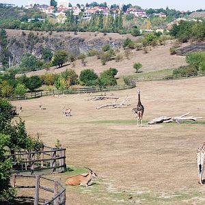 African Savannah at Prague, 25/08/12
