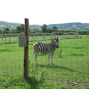 Paddocks area 11th September 2012