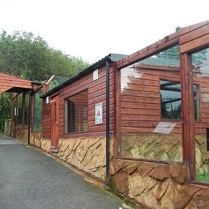 Caracal exhibit 12th September 2012