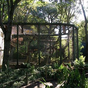 Parrot Jungle 13th September 2012