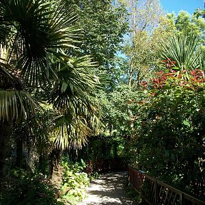 Path 13th September 2012