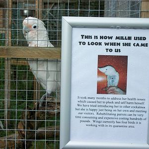 Signage 10th September 2012