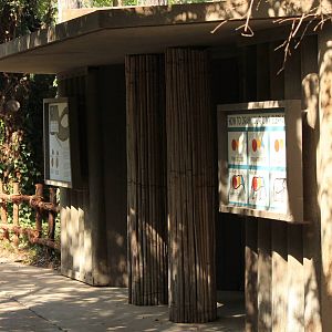 Old elephant display