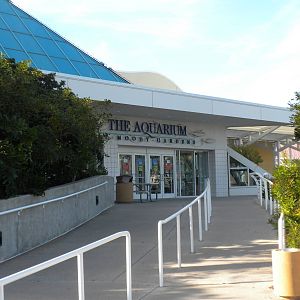 Aquarium 2010 -Entrance