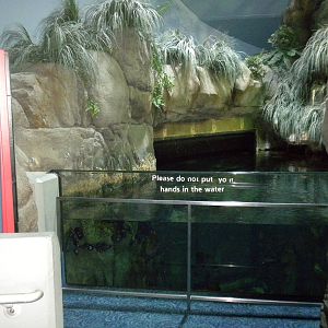 Aquarium 2010 - North Pacific tank