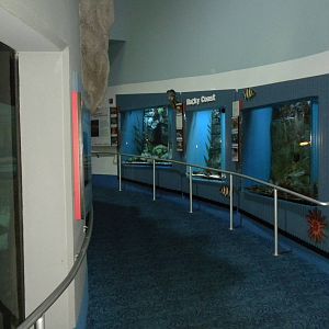 Aquarium 2010