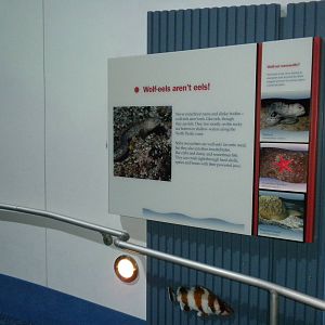 Aquarium 2010