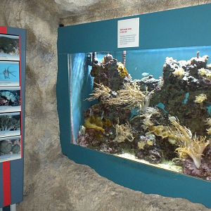 Aquarium 2010
