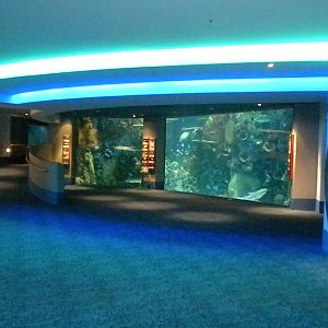 Aquarium 2010