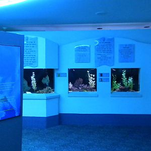 Aquarium 2010