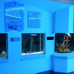 Aquarium 2010