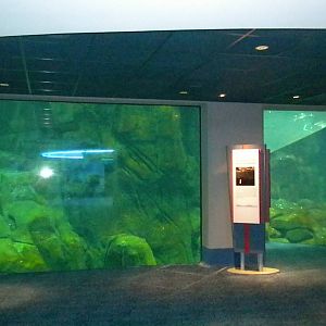 Aquarium 2010