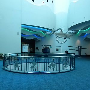 Aquarium 2010