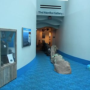 Aquarium 2010 - Temporary shark exhibit