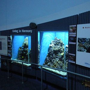 Aquarium 2010