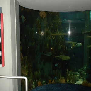 Aquarium 2010