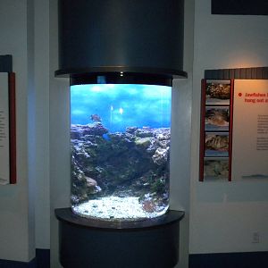 Aquarium 2010
