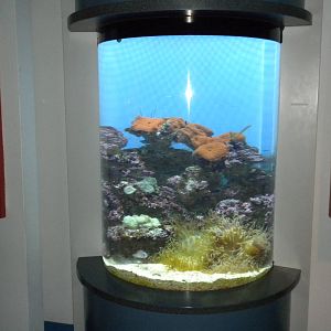 Aquarium 2010