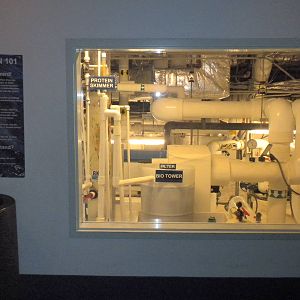 Aquarium 2010 - filtration