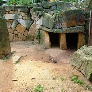 Porcupine Exhibit at Prague, 25/08/12
