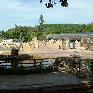 New Hippo Enclosure at Prague, 25/08/12