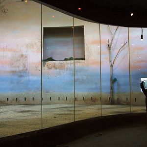 Giraffe Indoor Exhibit at Prague, 25/08/12