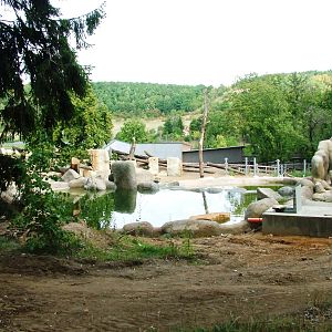 New Elephant Enclosure at Prague, 25/08/12