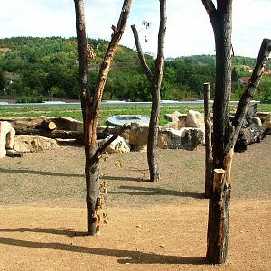 New Elephant Enclosure at Prague, 25/08/12