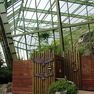 Walk-in Aviary at Prague, 25/08/12