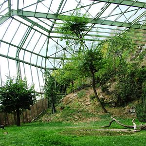 Walk-in Aviary at Prague, 25/08/12