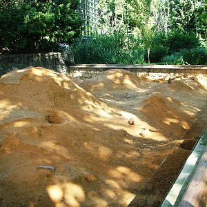 Prairie Marmot Exhibit at Prague, 25/08/12