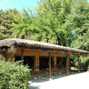 Malayan Tapir Indoor Viewing at Prague, 25/08/12