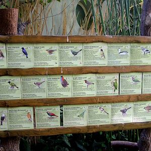 Signage Example at Prague, 25/08/12