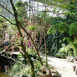 Szechuan House at Prague, 25/08/12