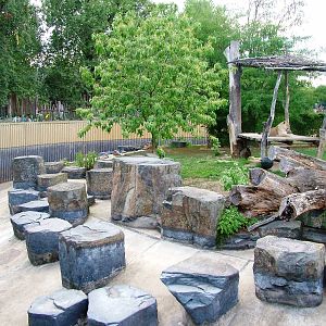 Lion Exhibit at Prague, 25/08/12