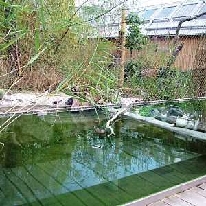 New Wetland Aviaries at Prague, 25/08/12