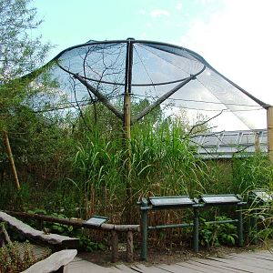 New Wetland Aviaries at Prague, 25/08/12